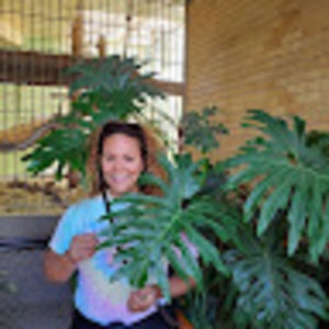 Meet your Posher, Amor_la_flora